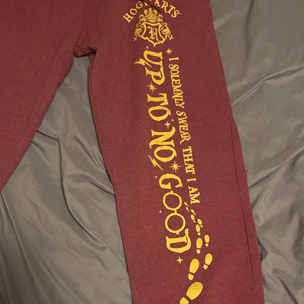 Warner Bros. Burgundy Joggers with Gold Hogwarts Design - Picture 4 of 4